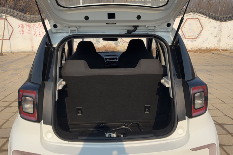 思皓 花仙子 2021款 200km 经典型局部细节23