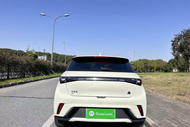 比亚迪 海豚 2023款 420km 时尚版车身外观6004