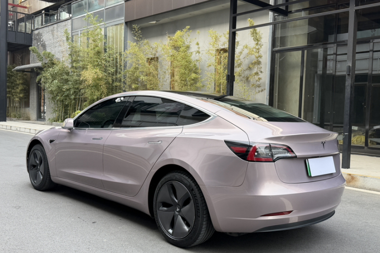 特斯拉 Model 3(进口) 2019款 长续航后驱版车身外观6004