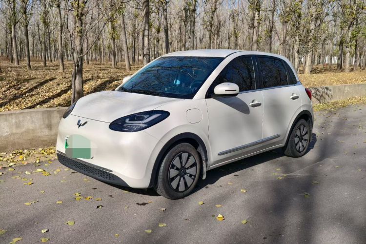 五菱汽车 五菱缤果 2024款 333km 悦享款车身外观6002