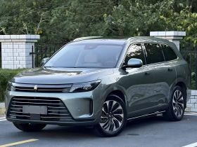 鸿蒙智行 问界M7 2022款 1.5T 后驱舒适版