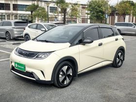 比亚迪 海豚 2023款 420km 时尚版