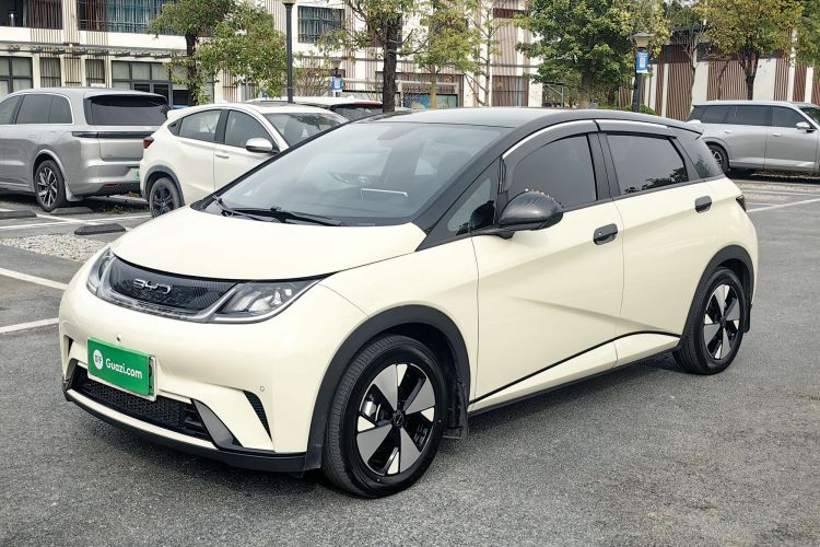 比亚迪 海豚 2023款 420km 时尚版车身外观1