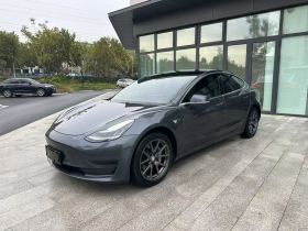 特斯拉 Model 3 2020款 改款 标准续航后驱升级版