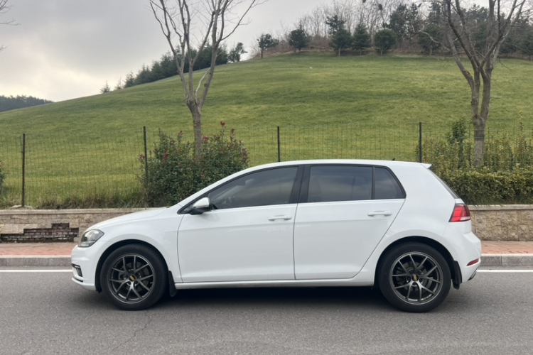 大众 高尔夫 2019款 280TSI DSG舒适型 国VI车身外观6005