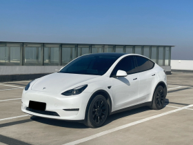 特斯拉 Model Y 2023款 长续航全轮驱动版