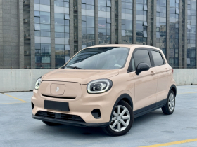 零跑汽车 零跑T03 2022款 耀金版