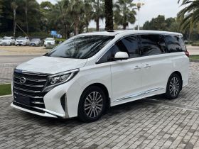 广汽传祺 传祺M8 2021款 领秀系列 390T 尊贵版