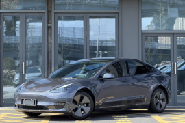 特斯拉 Model 3 2021款 标准续航后驱升级版