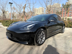 特斯拉 Model 3 2022款 后轮驱动版