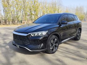 比亚迪 宋Pro新能源 2024款 荣耀版 DM-i 110KM卓越型