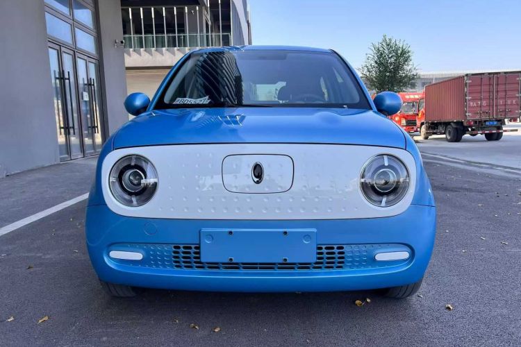 欧拉黑猫 2021款 301km 基础型车身外观6002