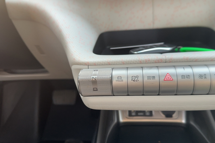 比亚迪 海豚 2021款 405km 时尚版局部细节18