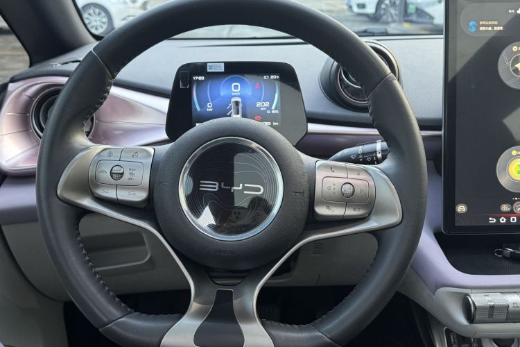 比亚迪 海豚 2021款 401km 骑士版中控内饰7001