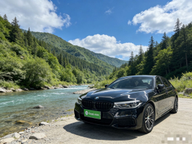 宝马5系 2019款 改款 530Li 尊享型 M运动套装