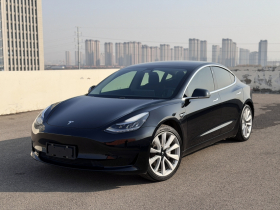 特斯拉 Model 3 2019款 标准续航后驱升级版