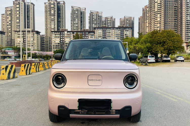 吉利银河 2023款 熊猫mini 200km 灵动熊车身外观6005