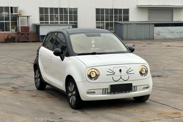 欧拉黑猫 2021款 351km 标准型车身外观6003