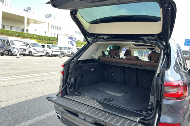 宝马X5(进口) 2022款 xDrive30i M运动套装局部细节9005