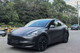 特斯拉 Model Y 2021款 长续航全轮驱动版 3D7