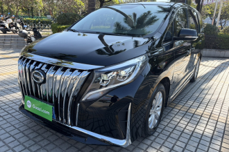 广汽传祺 传祺M8 2020款 领航款 390T 尊享版