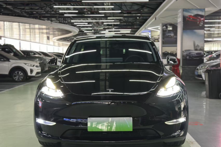 特斯拉 Model Y 2021款 标准续航后驱版车身外观6003