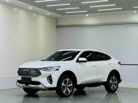 哈弗F7x 2021款 1.5T 两驱极智科技版