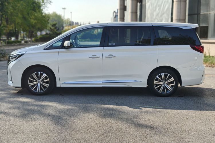 广汽传祺 传祺M8 2020款 领航款 390T 尊贵版车身外观6007