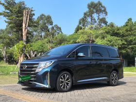 广汽传祺 传祺M8 2021款 领秀系列 390T 尊享版