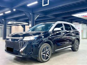 蓝电E5 2024款 荣耀版 100KM臻享型 7座