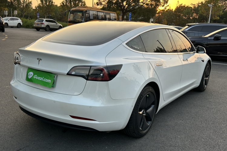特斯拉 Model 3(进口) 2019款 长续航后驱版车身外观6011