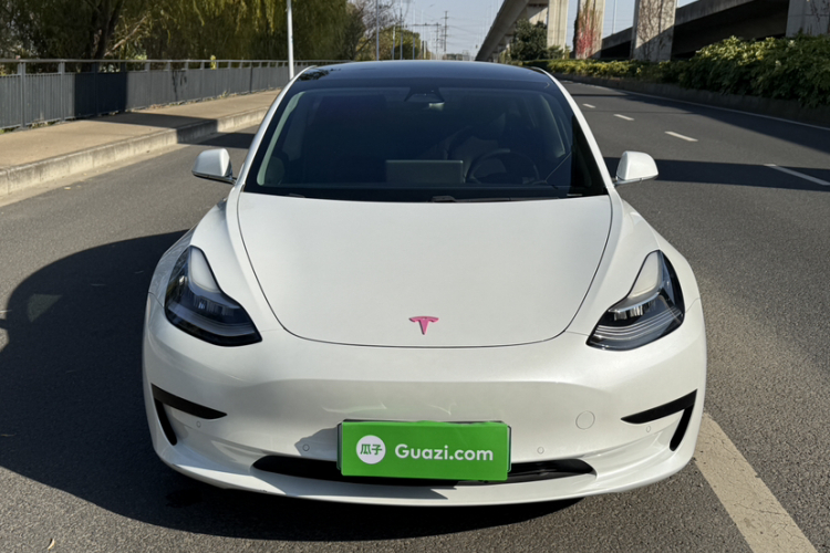 特斯拉 Model 3 2019款 标准续航后驱升级版车身外观6002