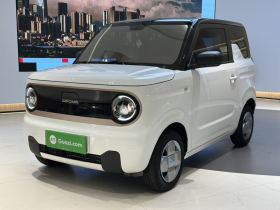 吉利银河 2024款 熊猫mini 200km 耐力熊