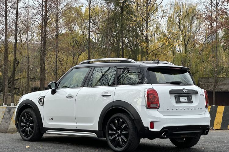 MINI Countryman 2018款 2.0T COOPER S ALL4 经典派车身外观6004