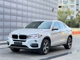 宝马X6 2015款 xDrive35i 豪华型