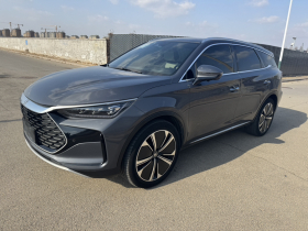 比亚迪 唐新能源 2022款 DM-p 215KM 四驱尊享型