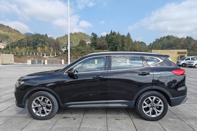 哈弗H6 2021款 国潮版 1.5T 自动冠军版车身外观6002