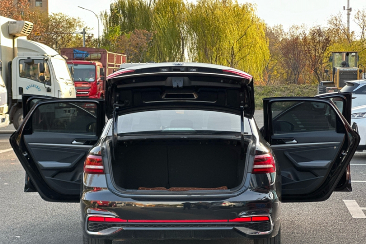 大众 朗逸 2024款 1.5L 自动星空五百万版中控内饰7006