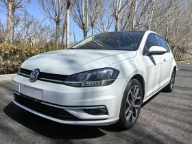 大众 高尔夫 2020款 280TSI DSG舒适型