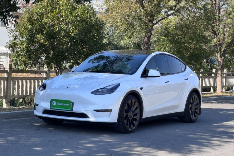 特斯拉 Model Y 2022款 Performance高性能全轮驱动版车身外观1