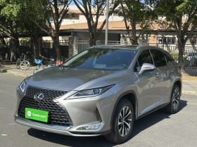 雷克萨斯RX 2020款 改款 300 两驱精英版