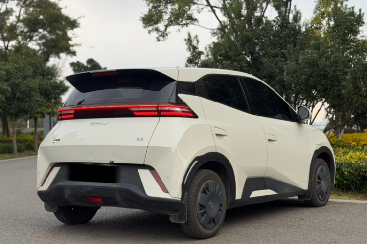 比亚迪 海鸥 2025款 305km 活力版车身外观6005