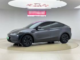 特斯拉 Model Y 2024款 长续航全轮驱动版