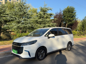 上汽大通MAXUS 大家5 2022款 430KM 精英版 七座