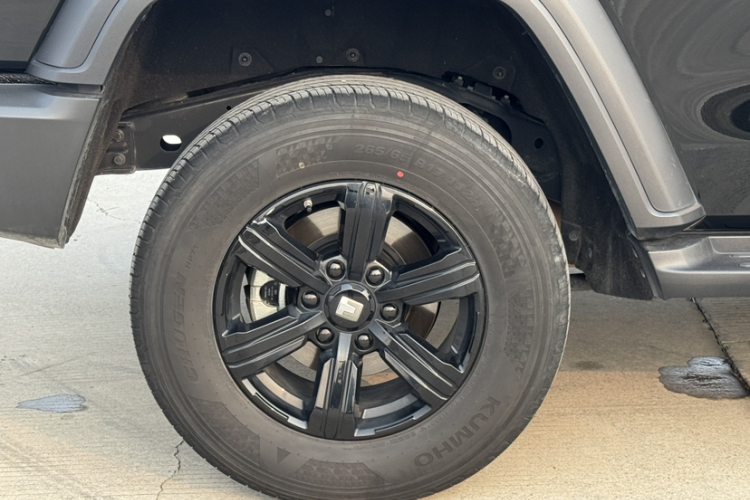 坦克300 2024款 2.0T 挑战者车身外观6008