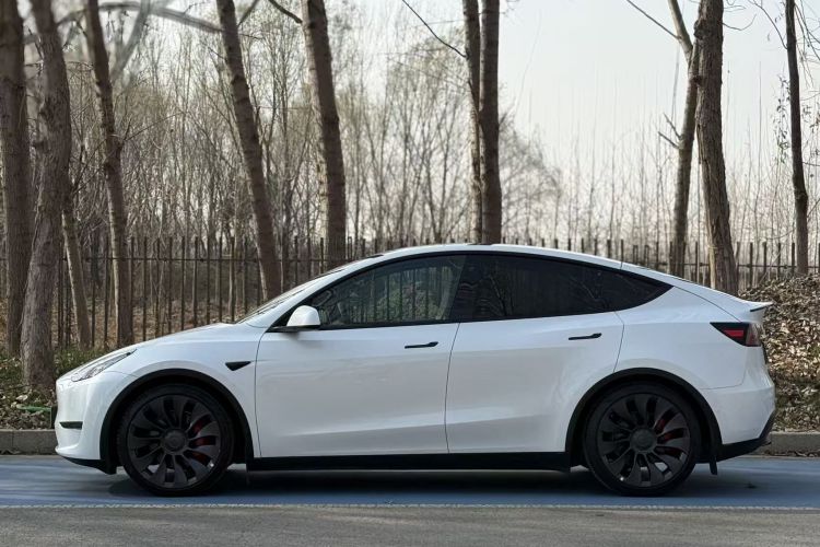特斯拉 Model Y 2022款 Performance高性能全轮驱动版车身外观6009