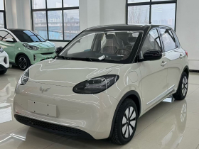 五菱汽车 五菱缤果 2025款 333km 悦享款