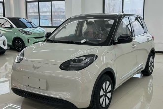 五菱汽车 五菱缤果 2025款 333km 悦享款