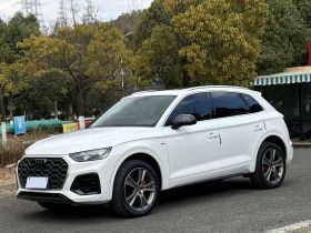 奥迪Q5L 2021款 45 TFSI 豪华动感型