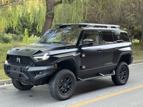 猛士917 2023款 纯电基础版